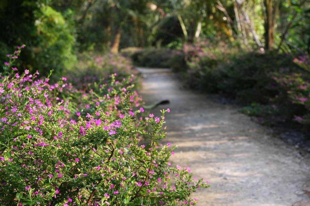 Mekong Rustic Cai Be Apartment ภายนอก รูปภาพ