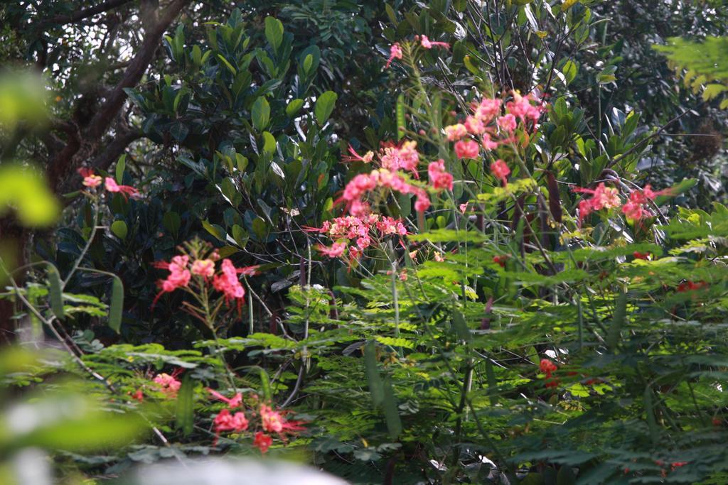 Mekong Rustic Cai Be Apartment ภายนอก รูปภาพ